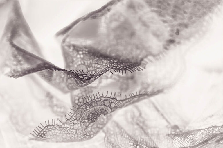 What Is Eyelash Lace Fabric? A Complete Guide for Fashion & Bridal Designers